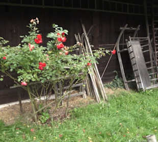 Schlössle von Effringen