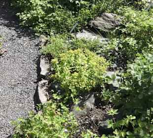 Botanischer Garten