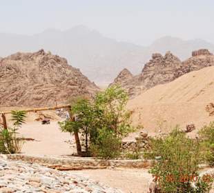 Wycieczka po pustyni