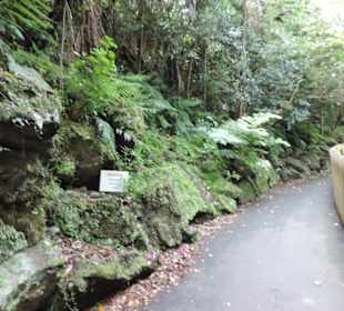 Eden Garden ein Paradies mitten in der Stadt