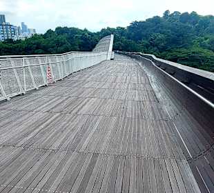 Henderson Waves Bridge 