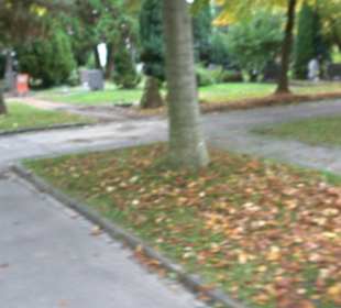 Hauptfriedhof Friedrichshafen