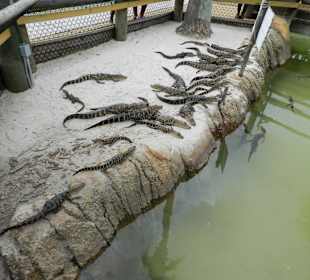 Minigolfanlage gegenüber vom Hotel