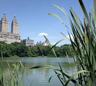 Central Park, Manhattan, New York City.