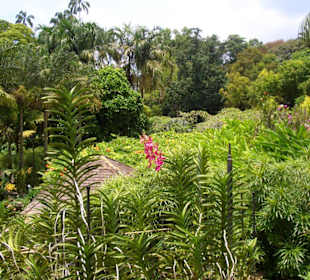 Botanischer Garten