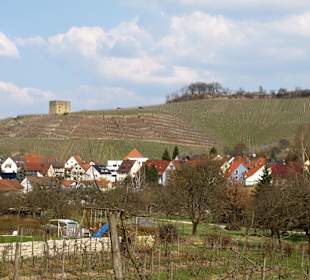Blick auf die Burg und die Weinberge