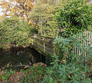 Brücke zu anderen Ufer Mühlenteich