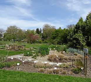 Garten Hohenheim
