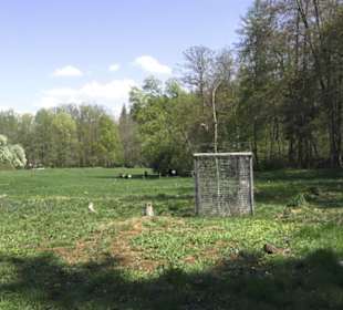 Wanderweg Hochgehwachsen
