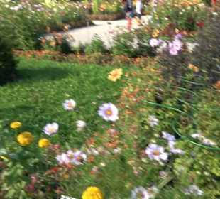 Schmuckhof Botanischer Garten