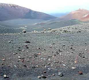 Inselrundfahrt AIDA Tagestour