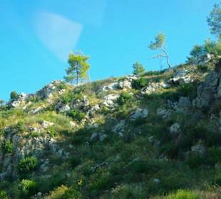 Rafting Selge National Park & Landschaft/An- & Abfahrt