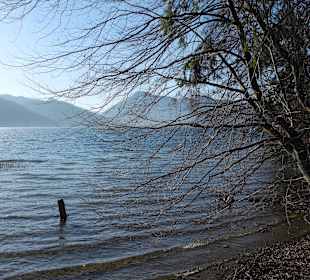 Der Tegernsee am Morgen