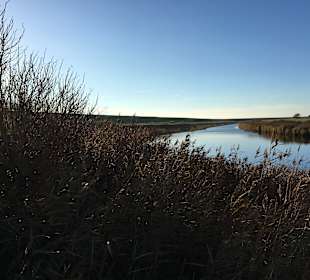 Wandern Emmelsbüll-Horsbüll