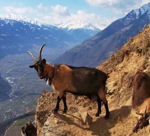 1000 Meter über Grund - Steinegg / Hochmut