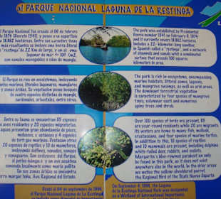 Laguna Restinga