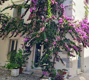 Altstadt Bardolino