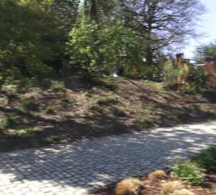 Rheinisches Landesmuseum