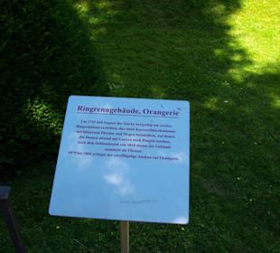 Pflanzen-Bäume Infotafeln