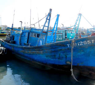Phan Thiet Fischmarkt
