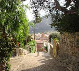 Der Weg zurück nach Pollenca