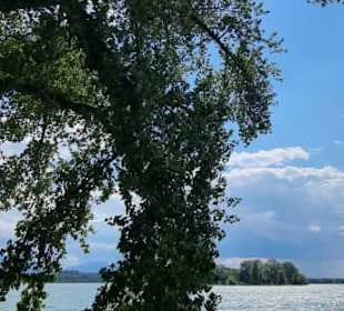 Tolles Bild geworden