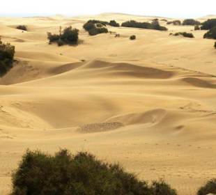 Piękne wydmy Maspalomas