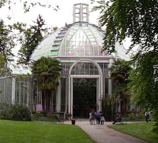 Palmenhaus