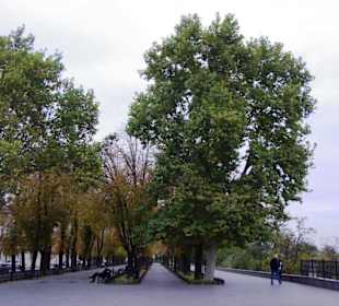 Die Altstadt - Citybereich von Odessa