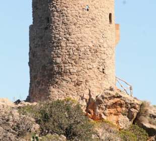 Torre