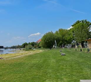 Die noch menschenleere Wiese im Strandbad