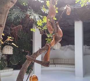 Kreatives Wohnen :-) 