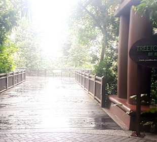 Singapur Zoo