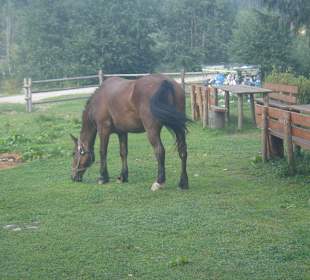 Parcul Natural Apuseni