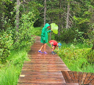 Wandern Göstling an der Ybbs