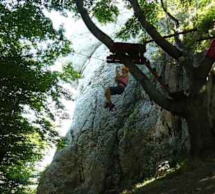 Park Linowy w Ogrodzieńcu