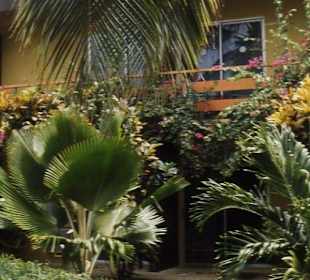 Die Gartenanlage des Manchebo Beach