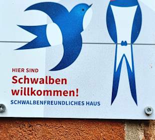 Schwalben willkommen! 