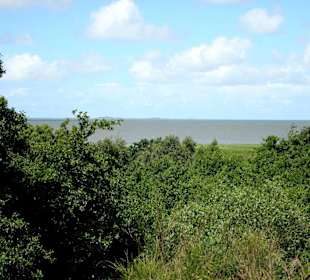 Wernerwald Cuxhaven