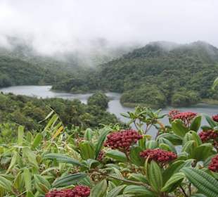 Beim Freshwater Lake
