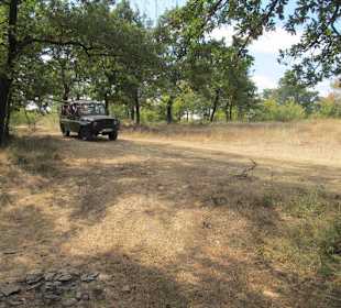 Jeep Safari,buchbar auf der Straßenseite d.Hotels 