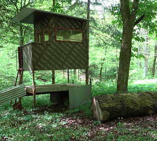 Wandertour Feuchtgebiet Schönbuch