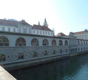 Vom Fluss aus gesehen