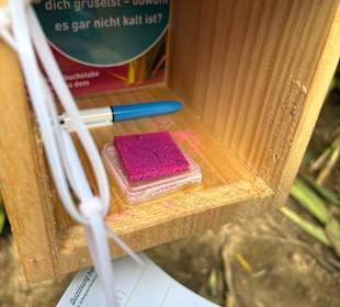 Monster-Maisfeldlabyrinth Alsdorf