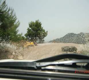 Jeep-Safari mit Donna und Michiel