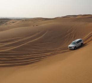 Wüstensafari 