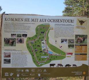 Der wunderschöne Sandwiesenweiher