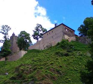 Burg Saarburg