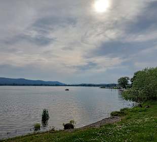 Wandern Radolfzell am Bodensee