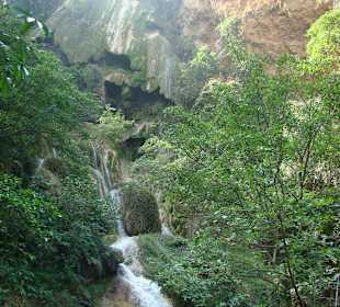 Na ostatni poziom docierają nieliczni